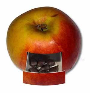 Surrealistisk fotografi Æble med kerner 